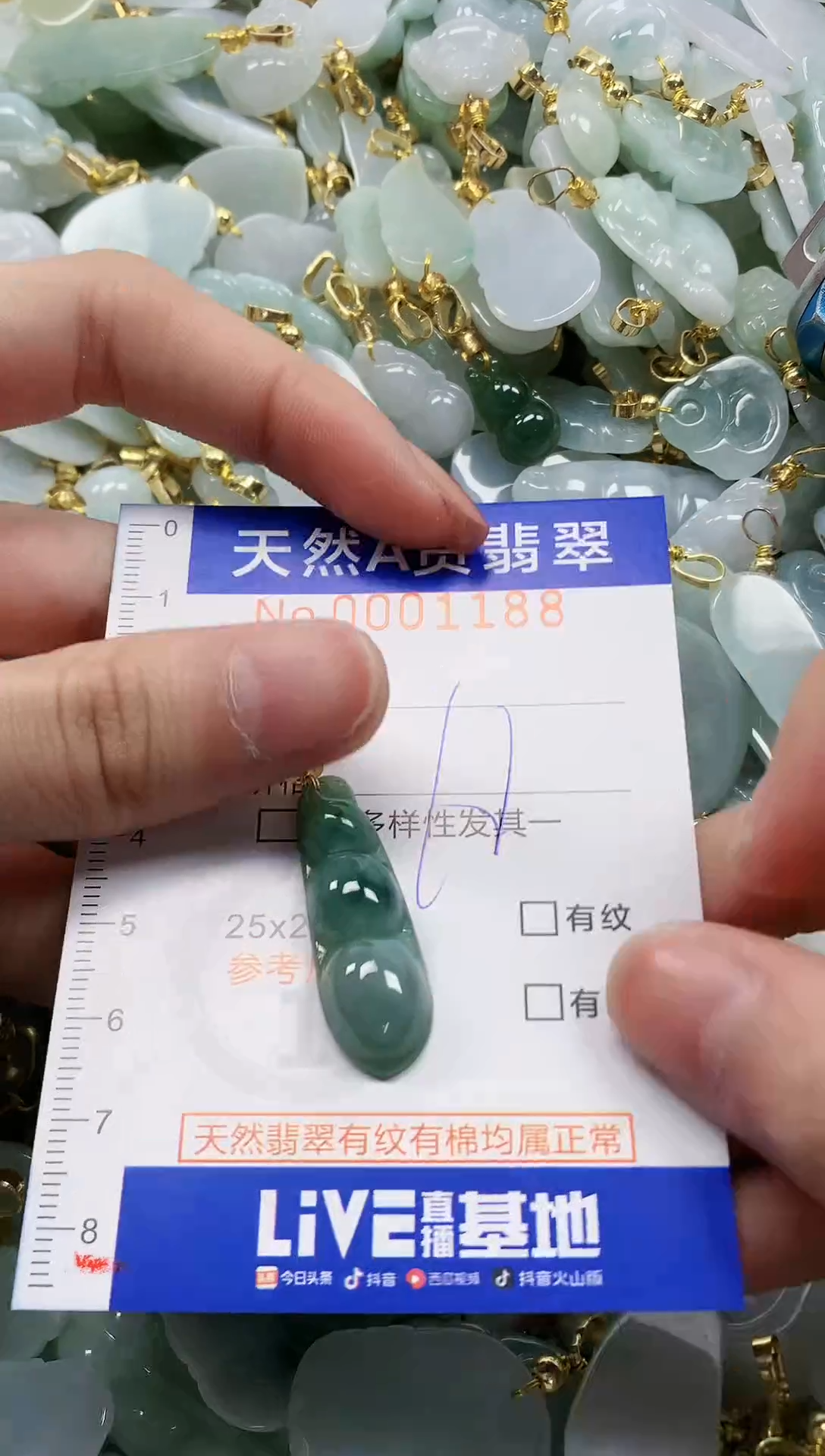 颈饰未镶嵌翡翠纯天然a货翡翠