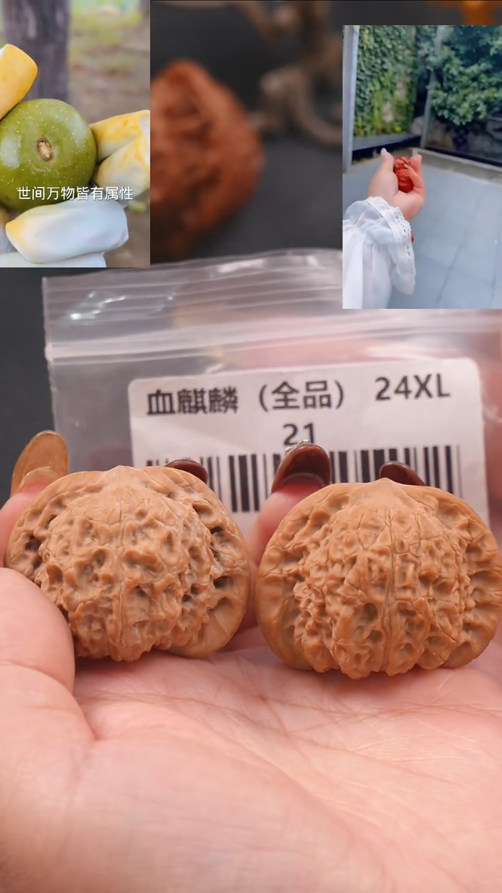 【闪购商品】文玩核桃把件41血麒麟狮子头