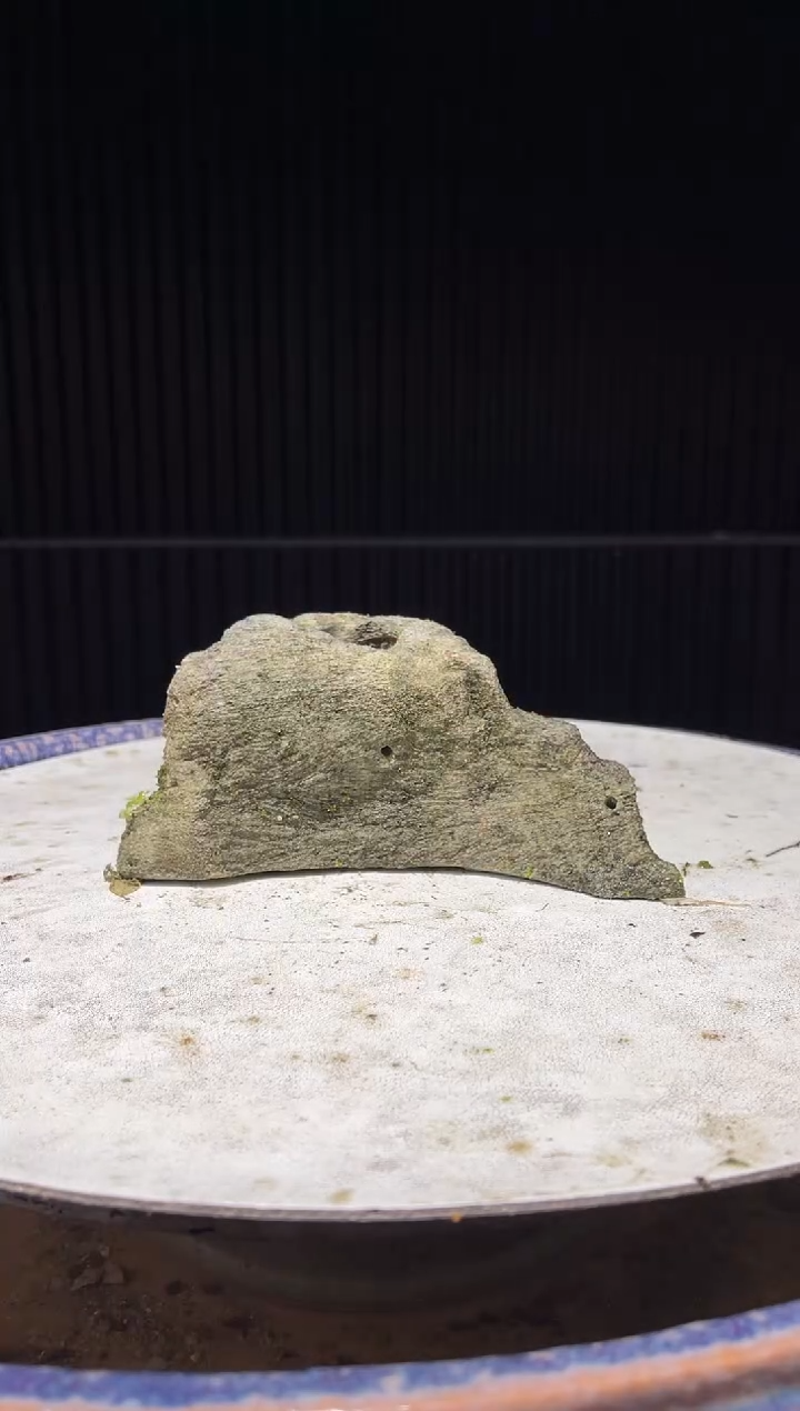 造型吴定石一物一拍专属