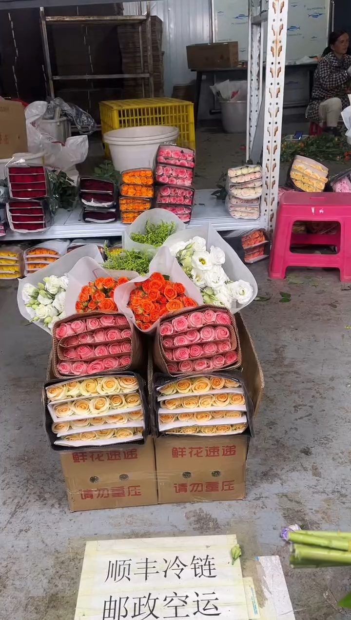 香槟20枝+戴安娜20枝+橙色芭10枝+白色洋桔梗400克+黄莺