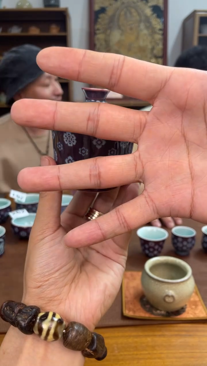 瓷片        @@263号