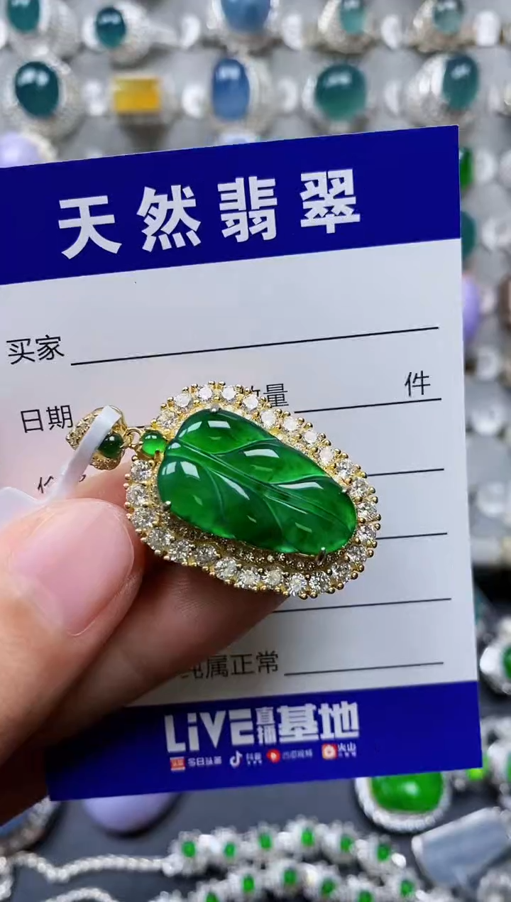 【闪购商品】翡翠颈饰银S925镶嵌0398