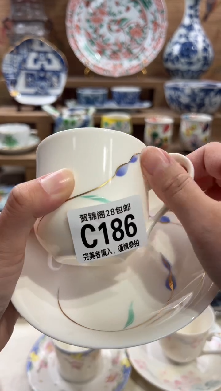 瓷片一       C186