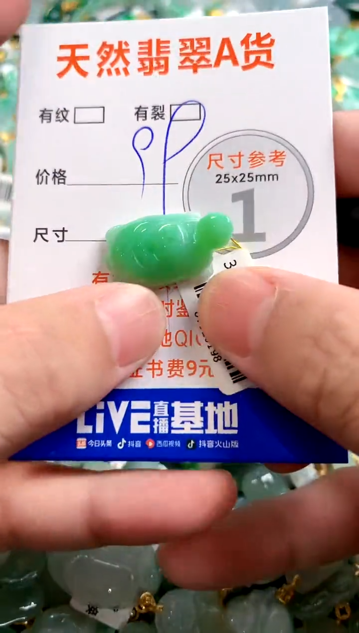 颈饰未镶嵌翡翠14006697