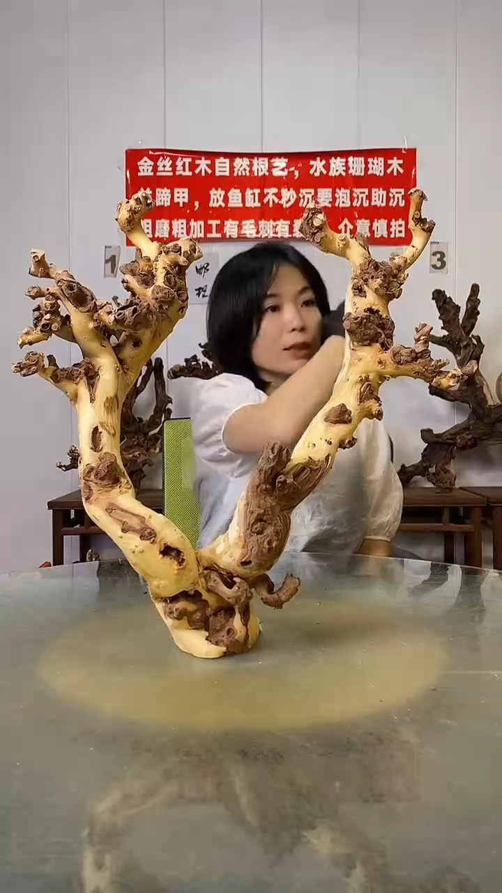 香榧木名****）金丝红木   羊蹄甲