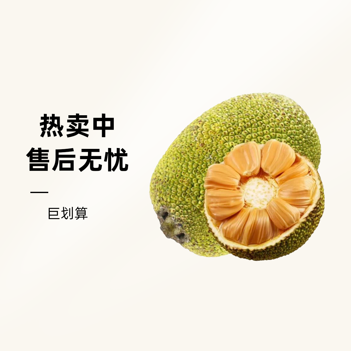 【次日达】越南黄肉菠萝蜜一个  越南