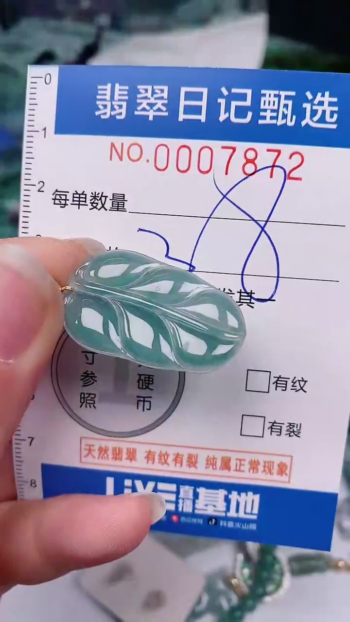 【闪购商品】翡翠颈饰未镶嵌00007872