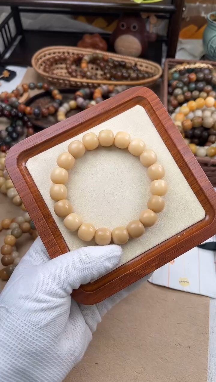 手串菩提根/象牙果a189 卡13.7 干磨海子