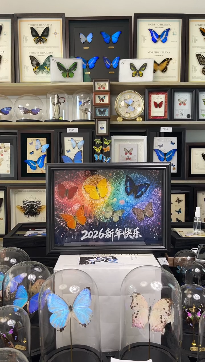 【2026新年快乐】六彩蝶组合款-A4框