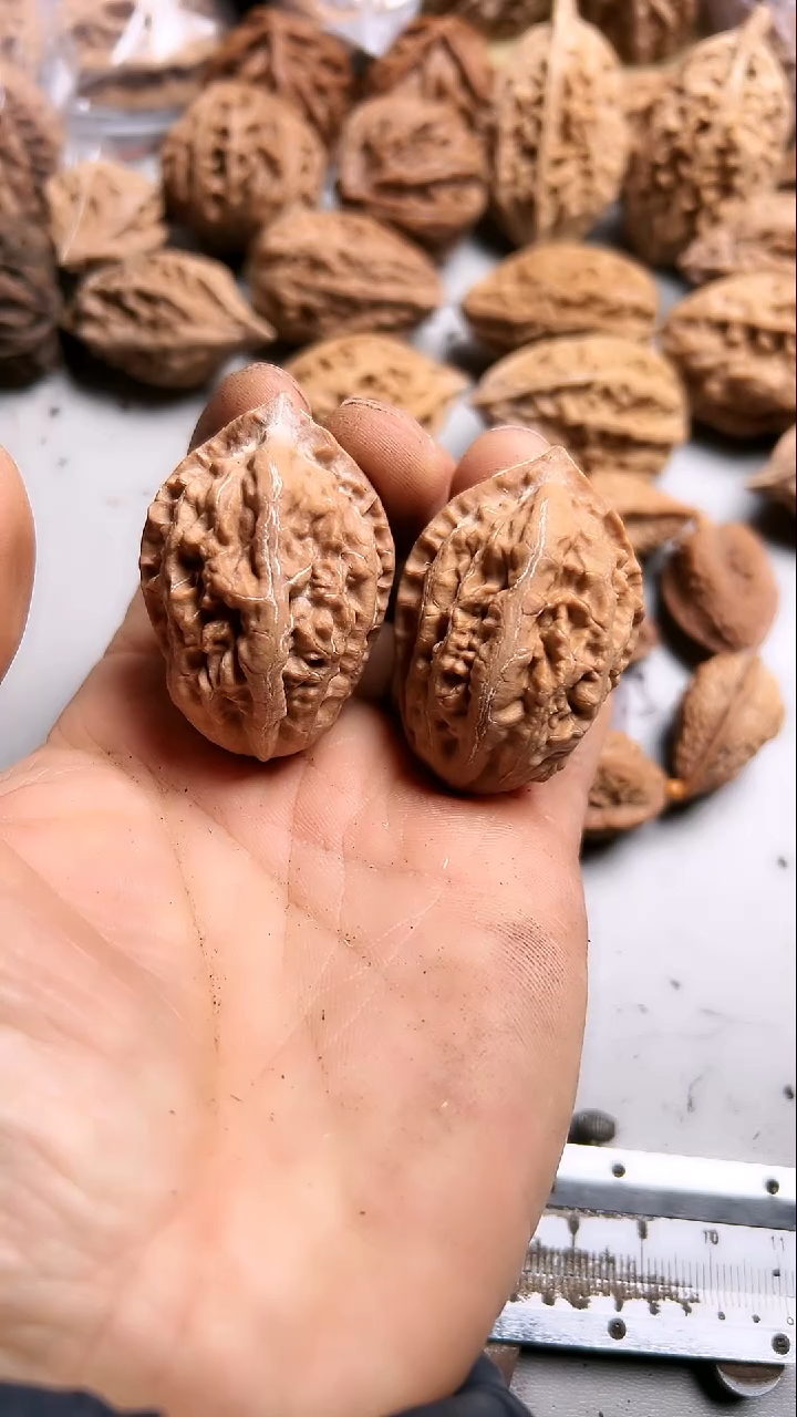 核桃东北野生大秋子8