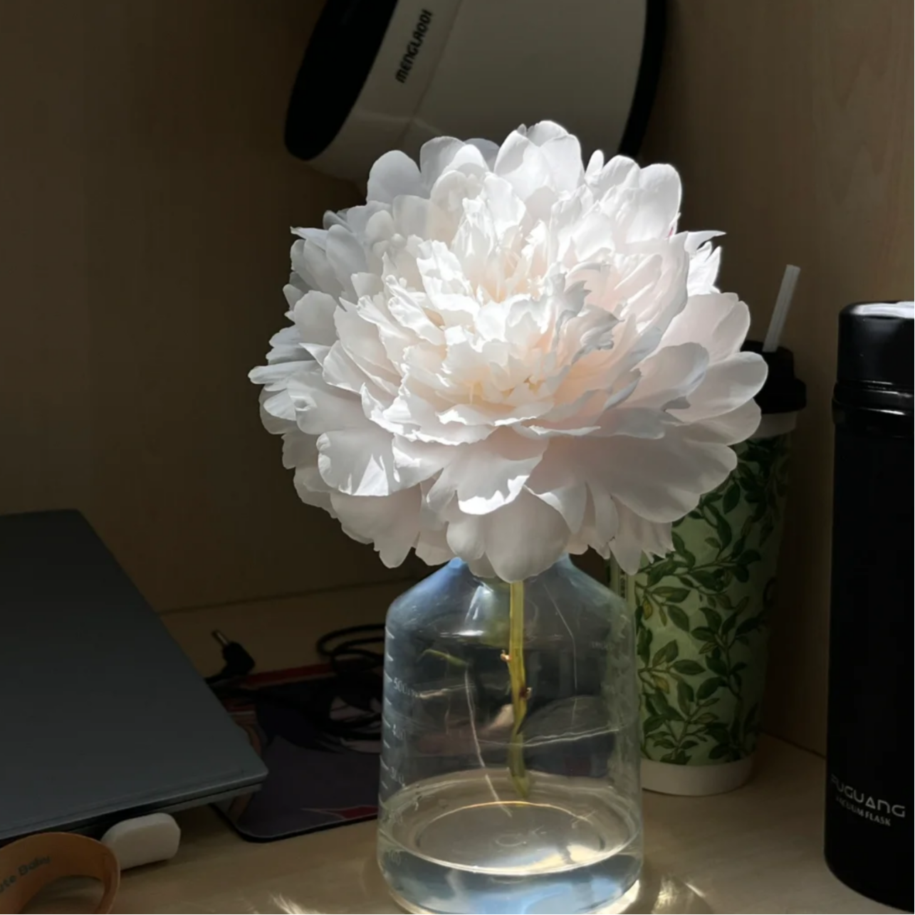 【大聪明卖花】杨妃出浴芍药鲜花  任意两单花材顺丰冷链或德邦快递