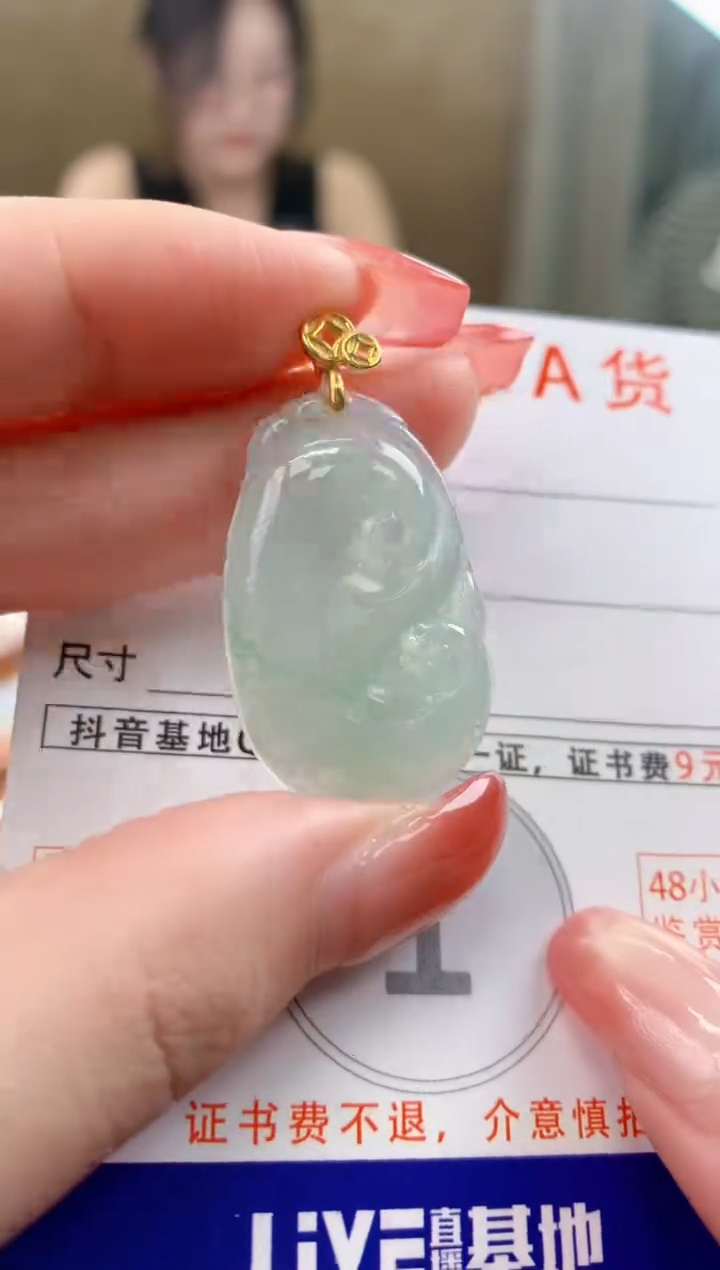 颈饰未镶嵌翡翠天然A货翡翠挂件