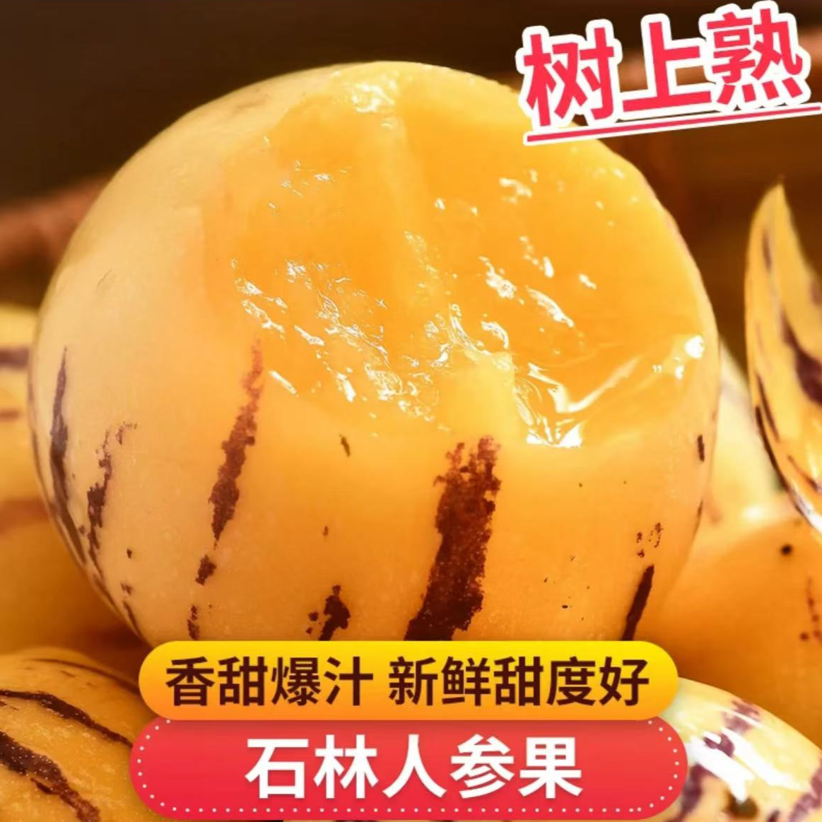 【当季热卖】云南石林人参果树上自然成熟现摘现发清甜多汁