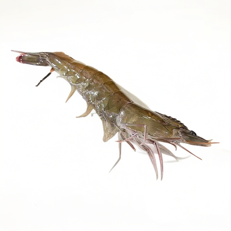 【缺氧黄虾】海产品黄虾海虾 包鲜 不包活福建省内可拍