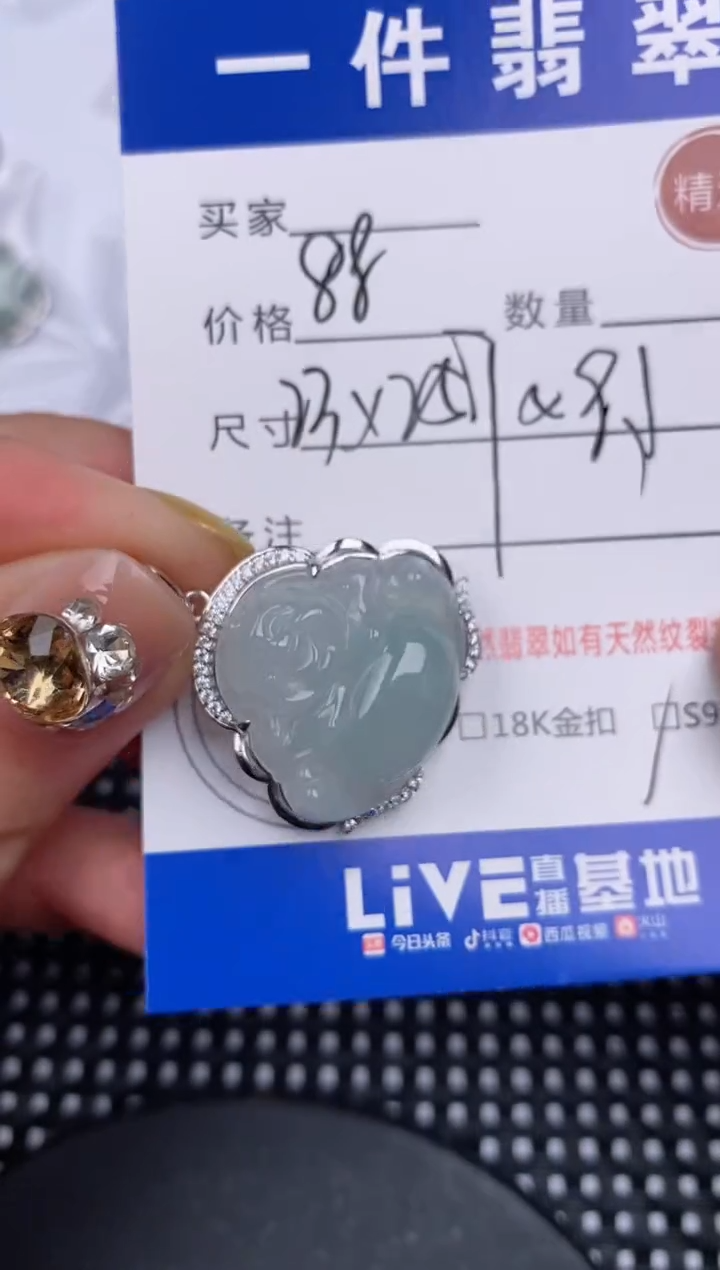 翡翠银S925镶嵌颈饰挂件