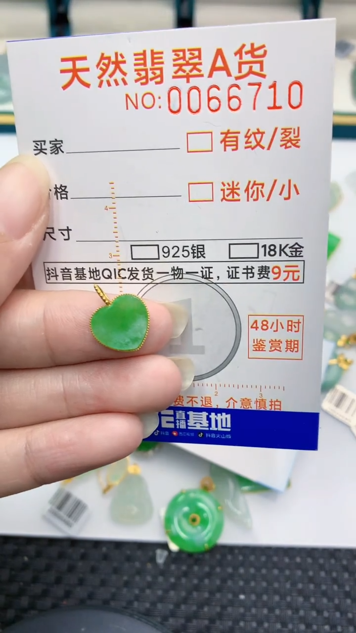 【闪购商品】翡翠颈饰18K金镶嵌            8