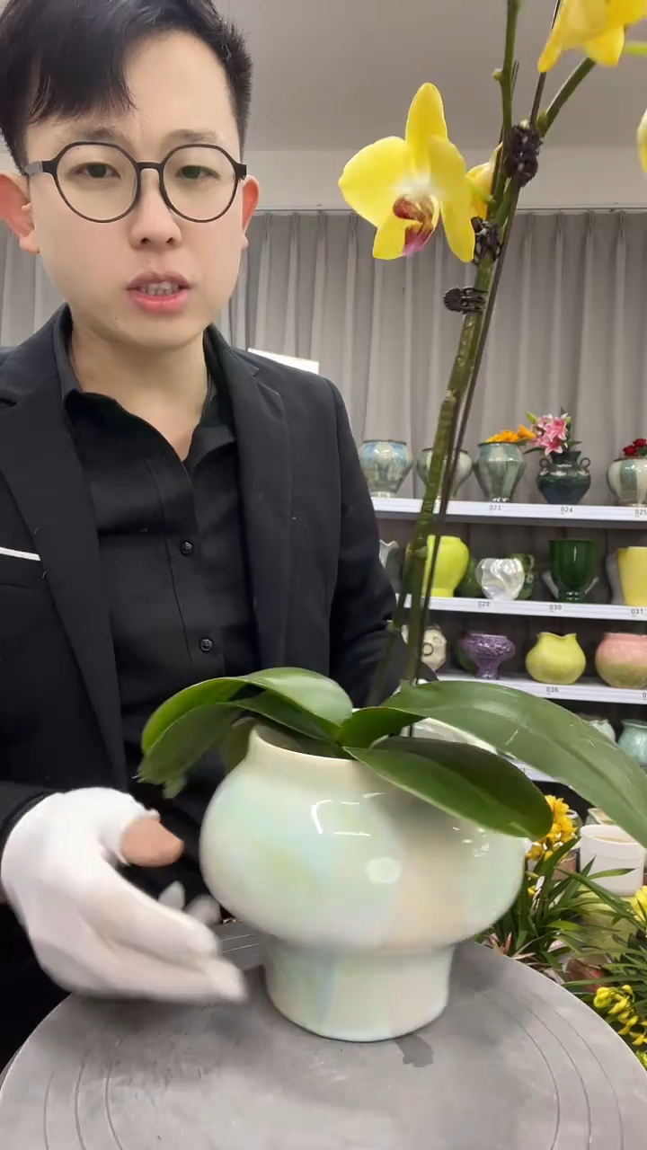 9.4陶瓷花盆直播链接高.    14  口11