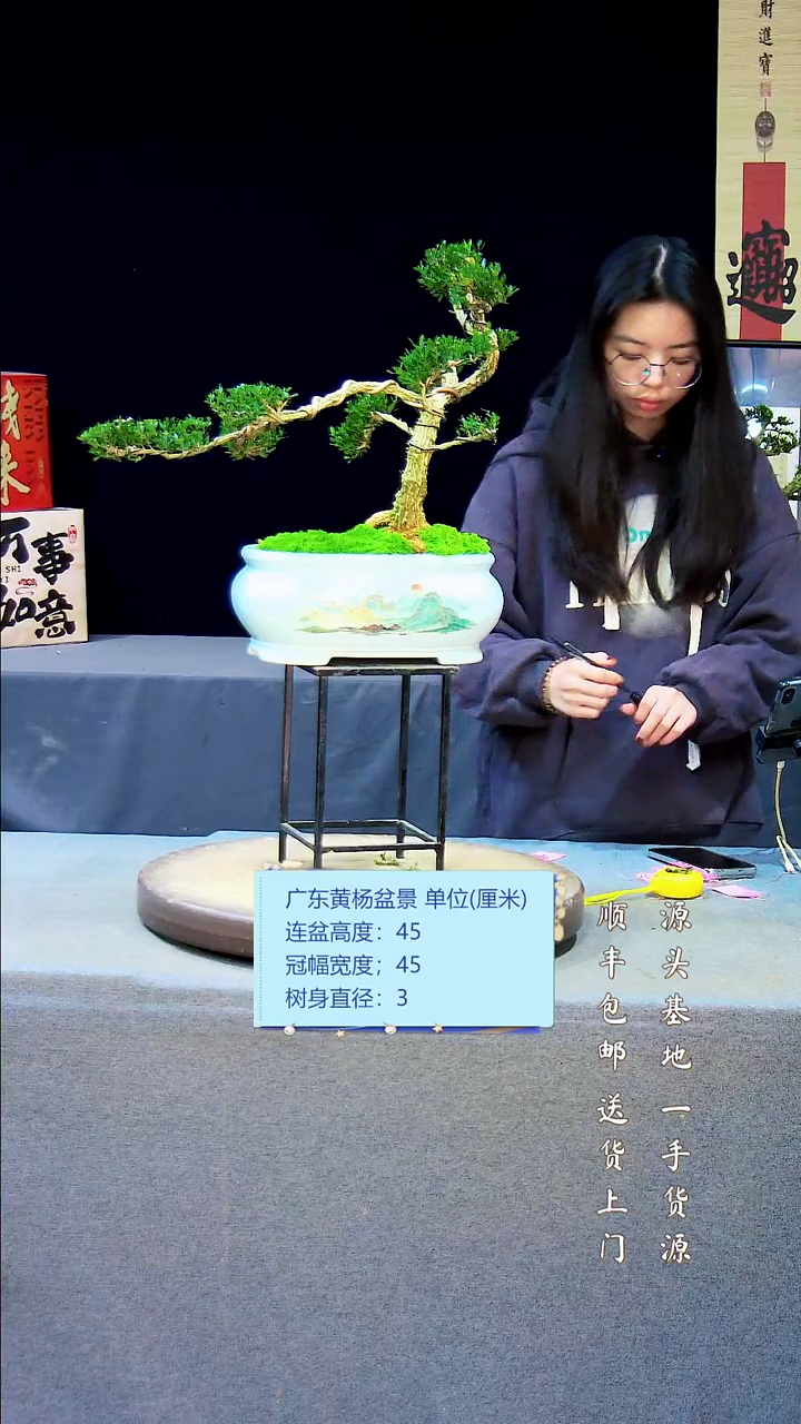 【闪购商品】黄杨盆景黄杨盆景