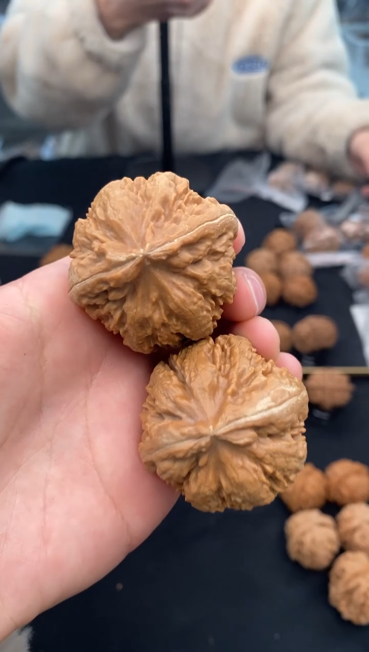 【闪购商品】文玩核桃把件霸王龙41-u310