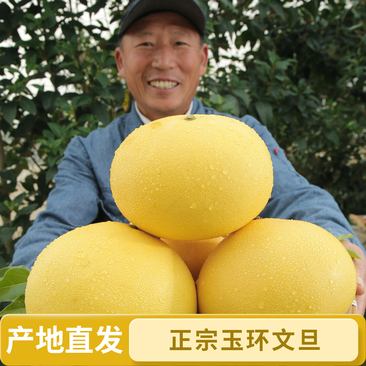 大果浙江特产台州玉环文旦柚子当季水果白心蜜柚现摘现发水嫩多汁