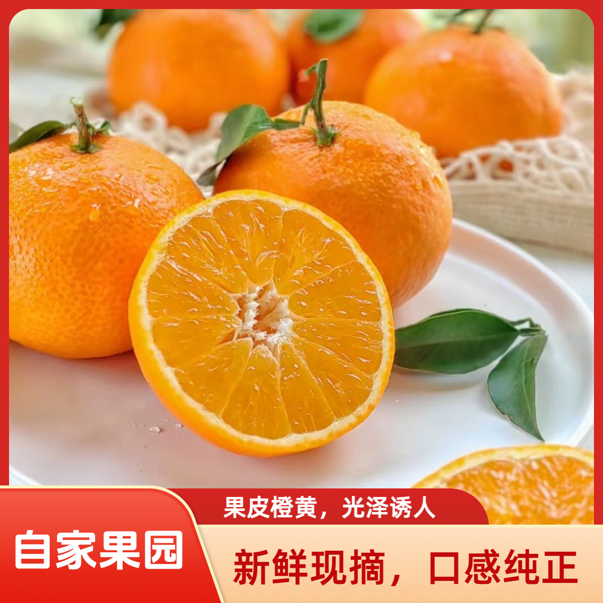 《自家果园》四川眉山爱媛38号果冻橙新鲜应季现摘现发