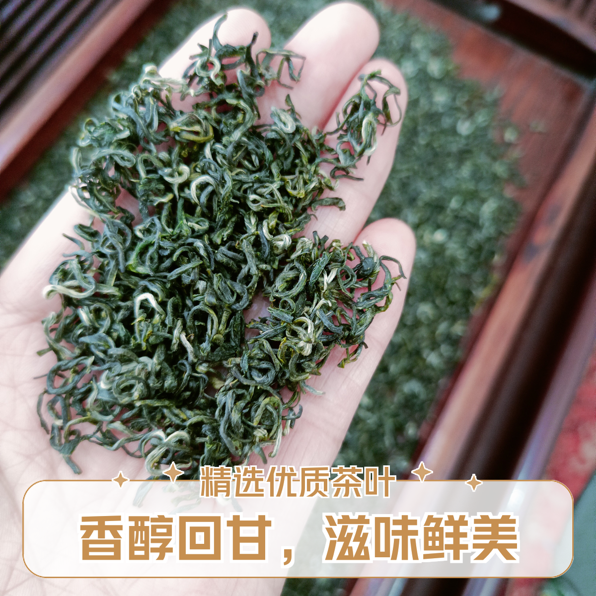 2025新茶【毛尖】板栗香适合重口味的，非常耐泡