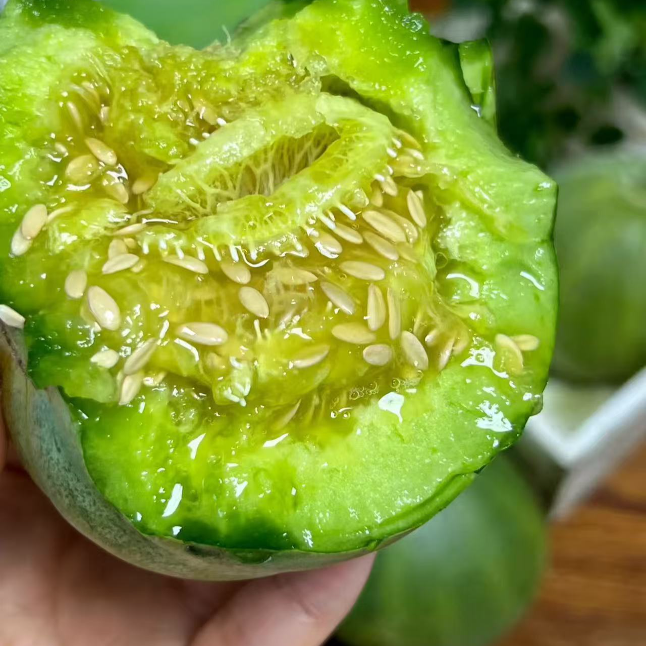 【老沙次日达】"夏天的蜜蜜“绿宝石脆皮甜瓜 礼盒装3.8斤左右新鲜山东省