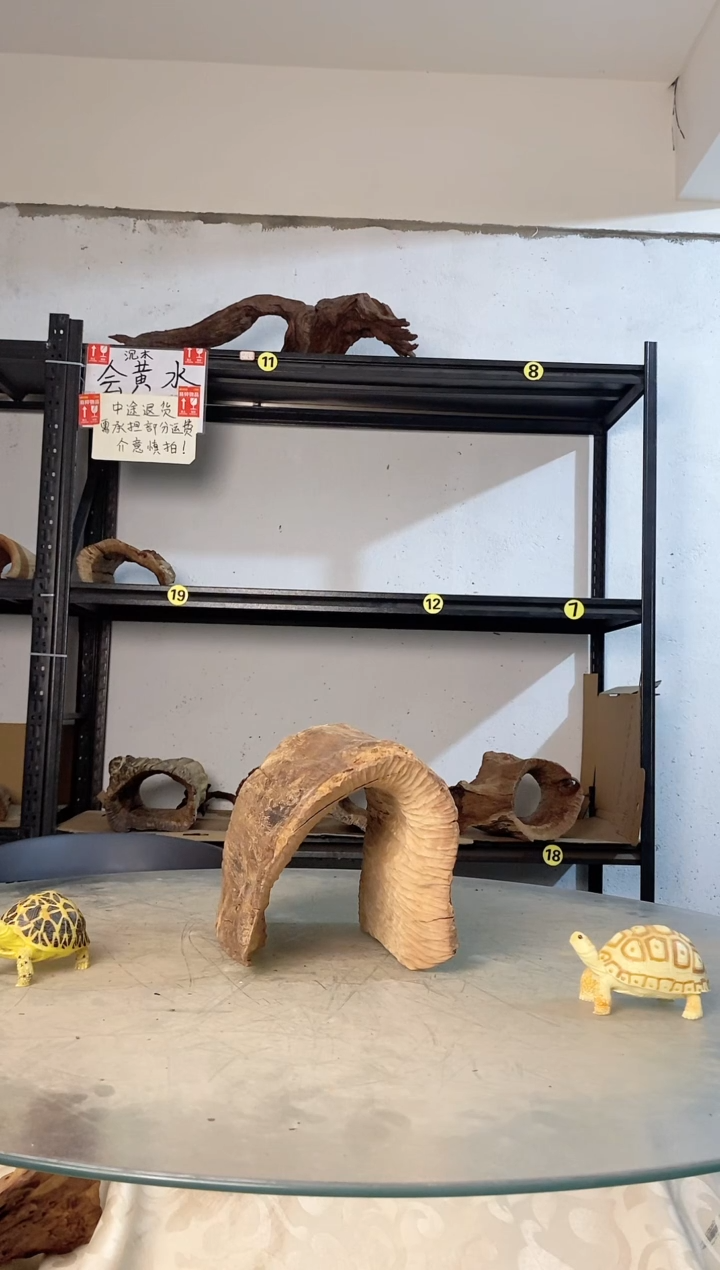 K*o鱼缸爬宠造景素819
