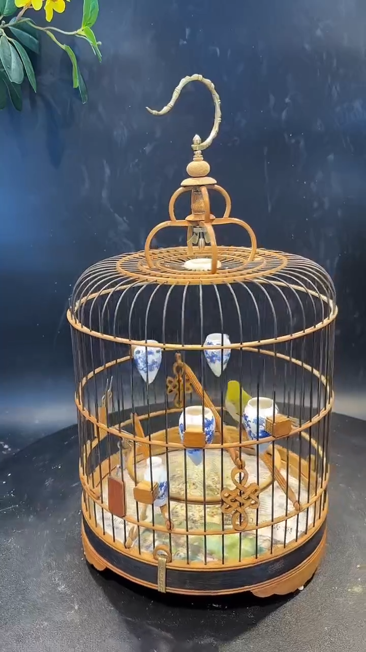 42号绣眼  养笼  0元起拍