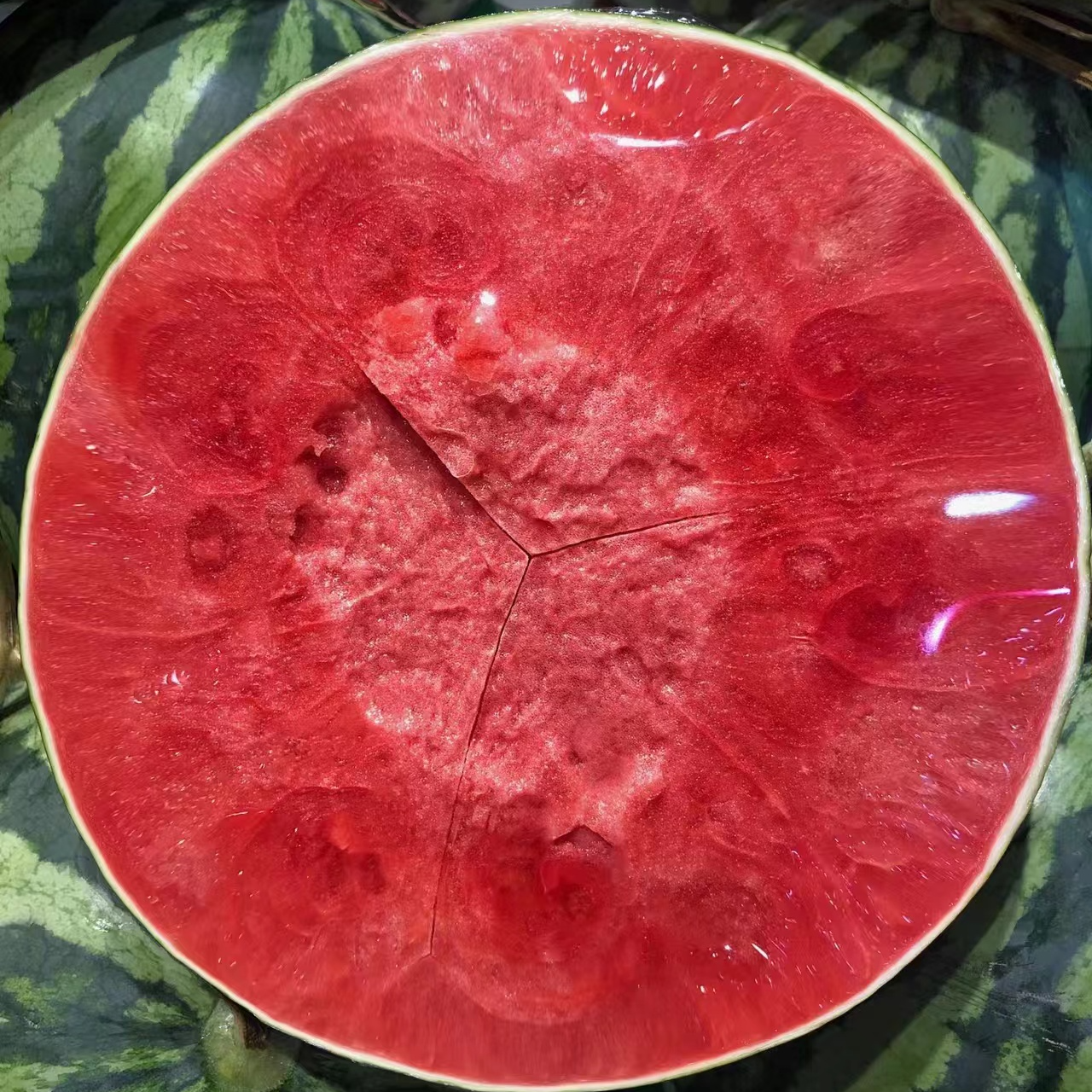 【B美都麒麟瓜明日送达】高糖现摘西瓜脆甜多汁