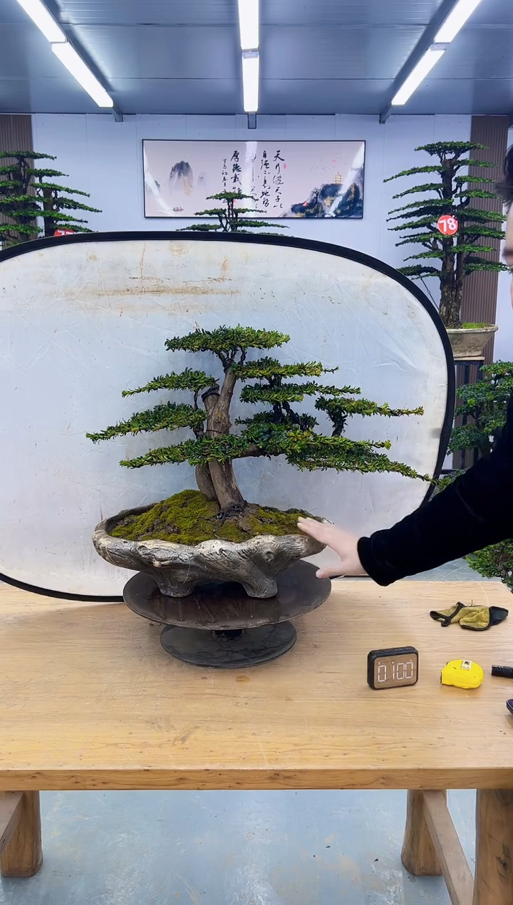 以实际为准00000000000000