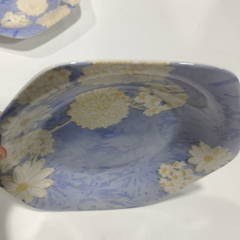 6个盘子家用实用h8