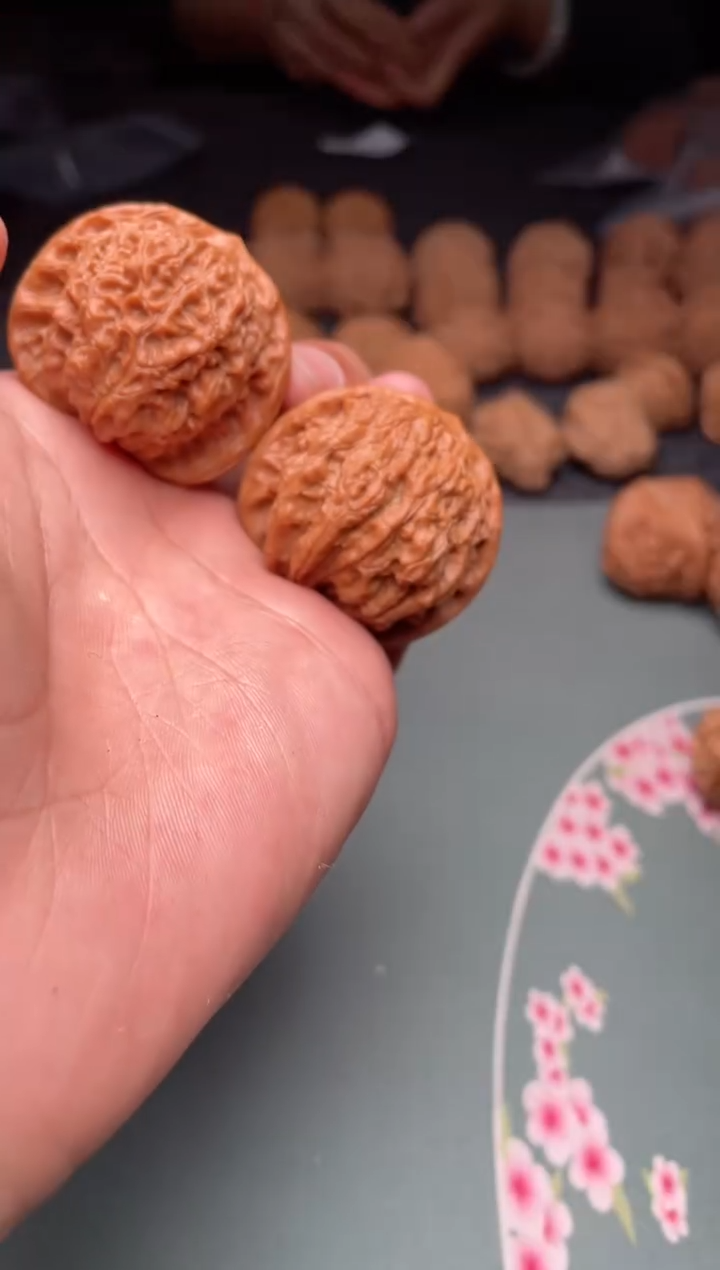 核桃a223 血麒麟   40尺