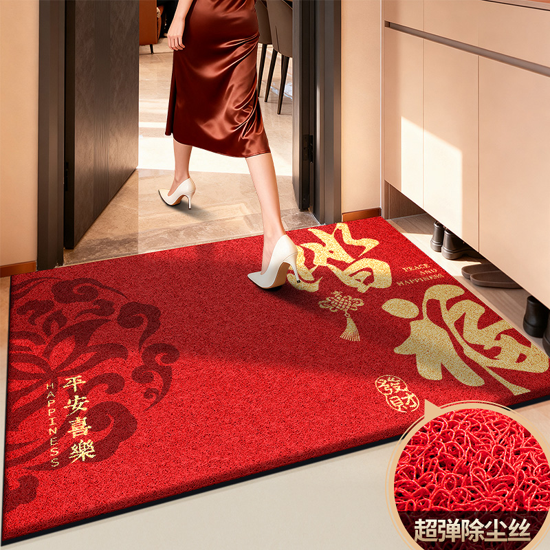 垫子地垫家用防水防滑脚踏垫2025年新款橡胶底丝圈吸水垫脚垫地毯