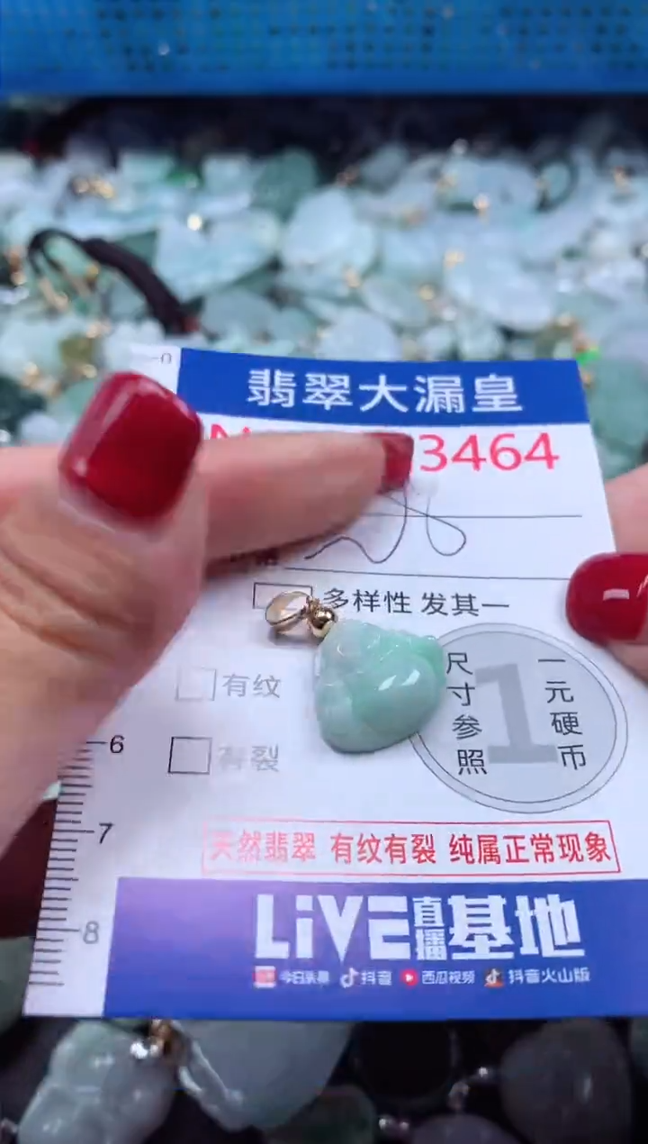 颈饰未镶嵌翡翠3464