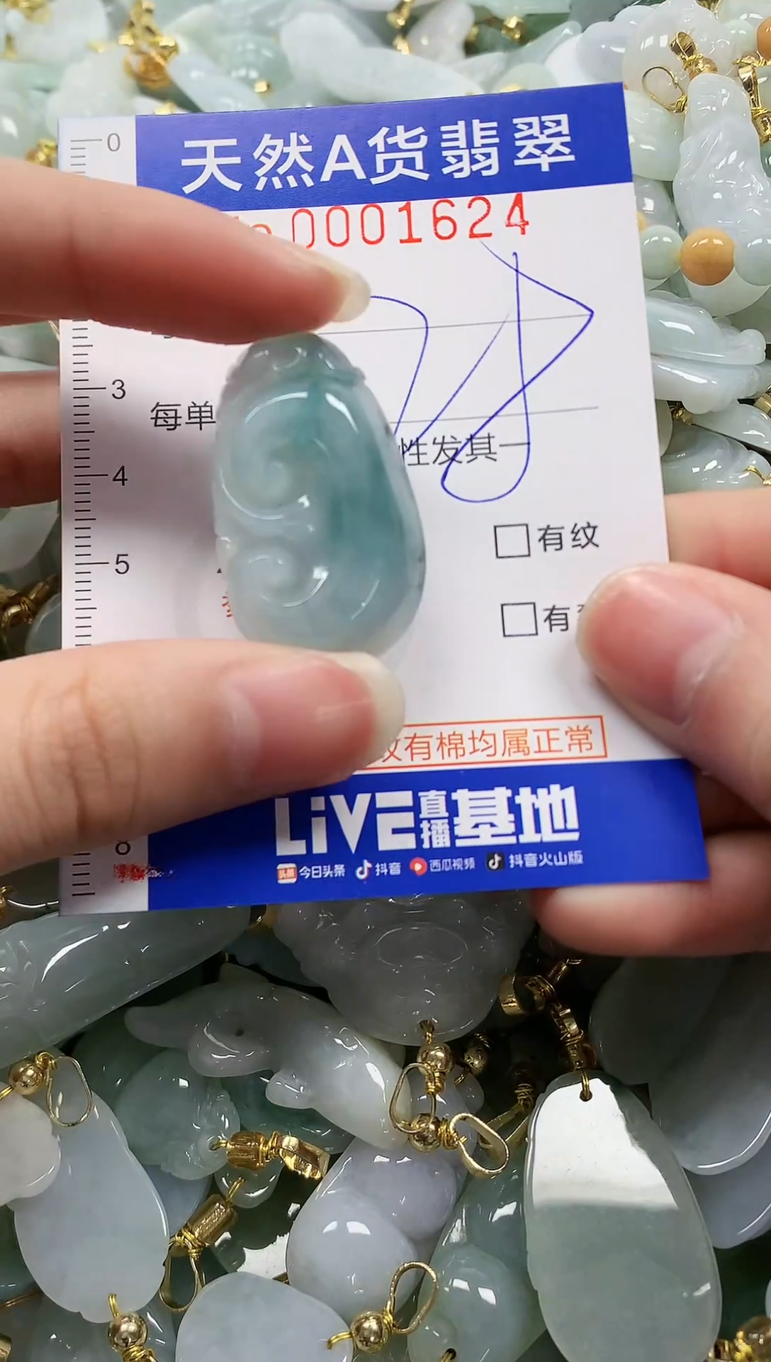 颈饰未镶嵌翡翠纯天然a货翡翠