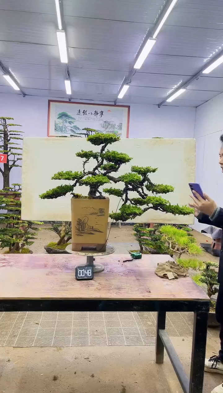 【闪购商品】一物一拍，所见即所得