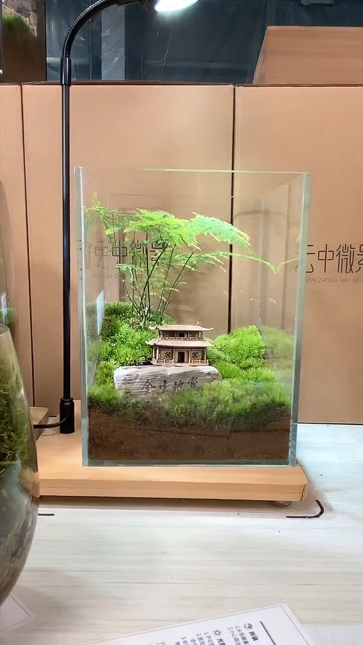 【闪购商品】孤品宝地生金款