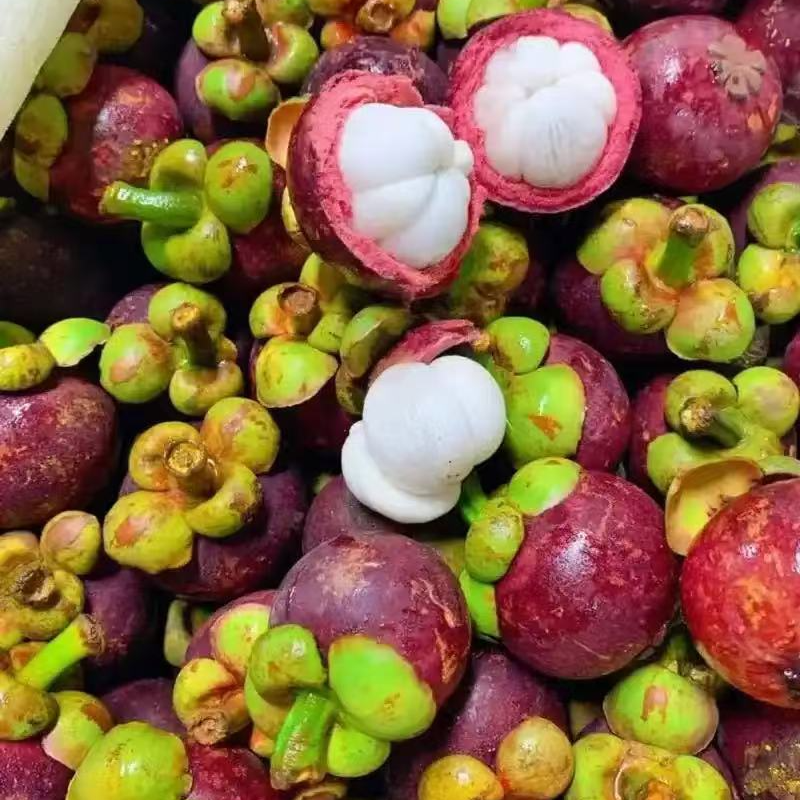 【通辽同城】印尼进口老树5A-6A 山竹新鲜水果白嫩 3 斤