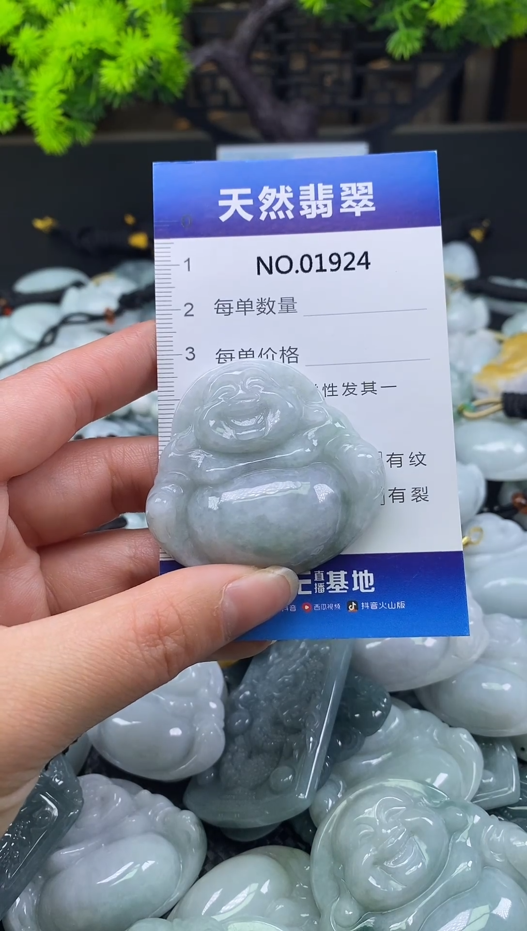 颈饰未镶嵌翡翠天然缅甸翡翠1924