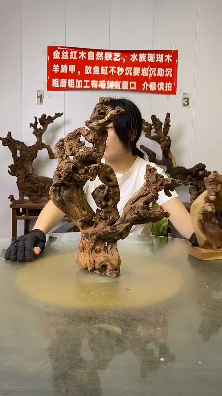 香榧木果*甜金丝红木   羊蹄甲