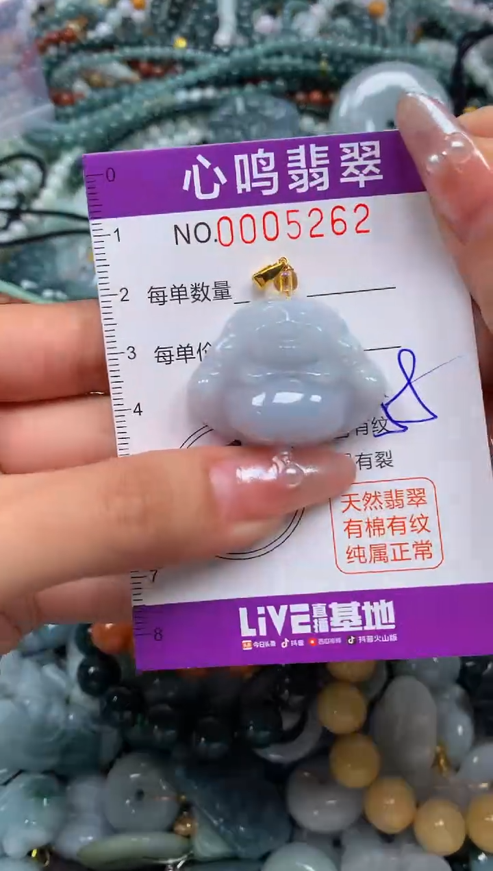 颈饰未镶嵌翡翠闪购005262