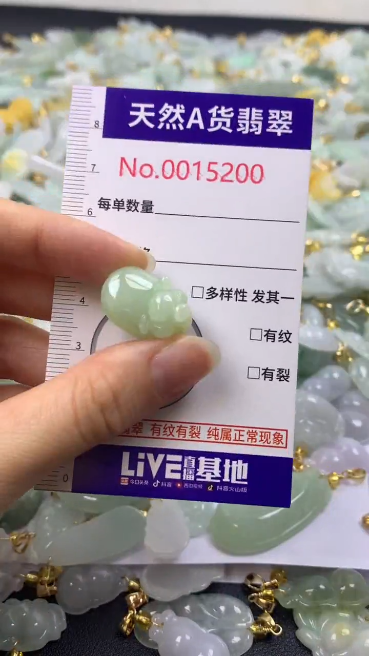 颈饰未镶嵌翡翠1