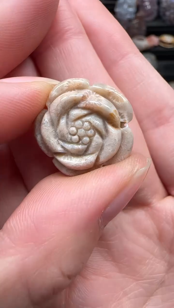 颈饰未镶嵌硅化珊瑚（珊瑚玉）555