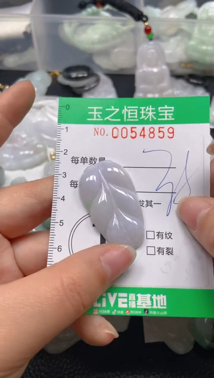 【闪购商品】翡翠未镶嵌颈饰闪购0054859
