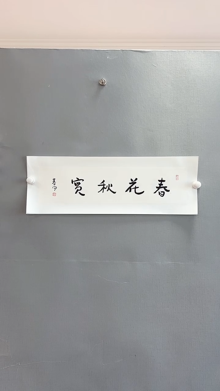 【闪购商品】书法雅艺典藏文化书法