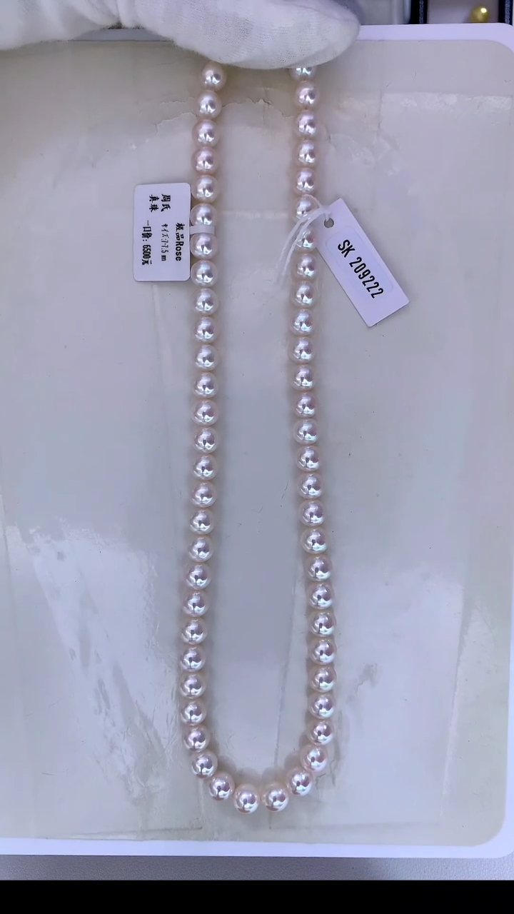 【闪购商品】海水珍珠颈饰未镶嵌ROSE7-7.5MM