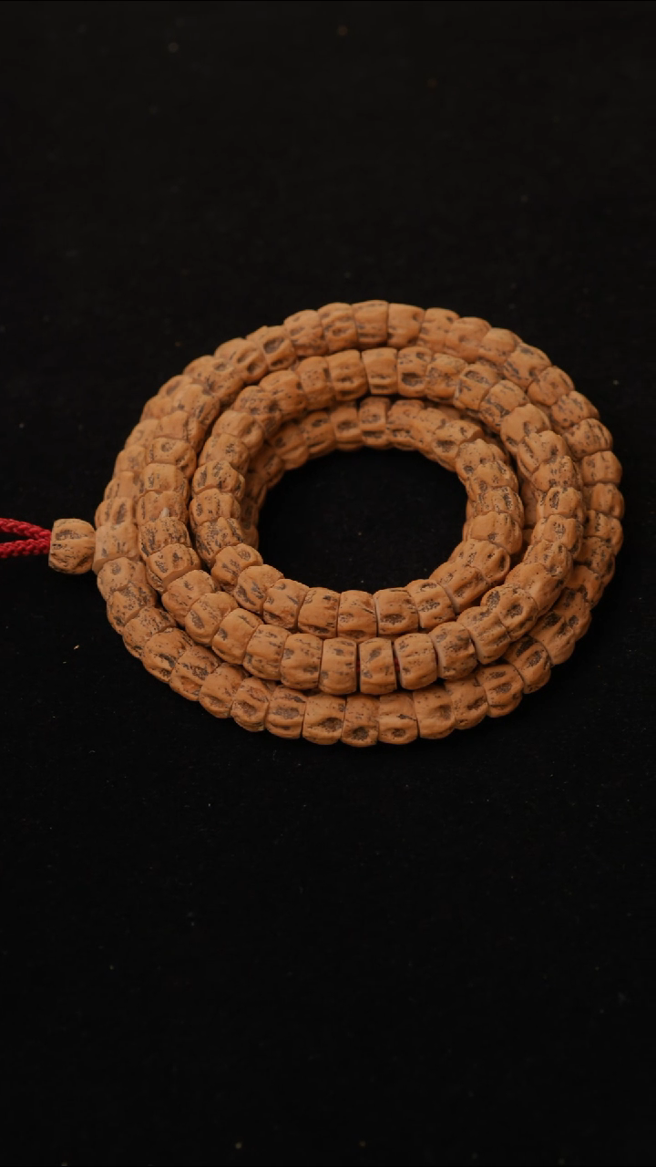 柏香籽/百香籽吊坠网罡座大肠