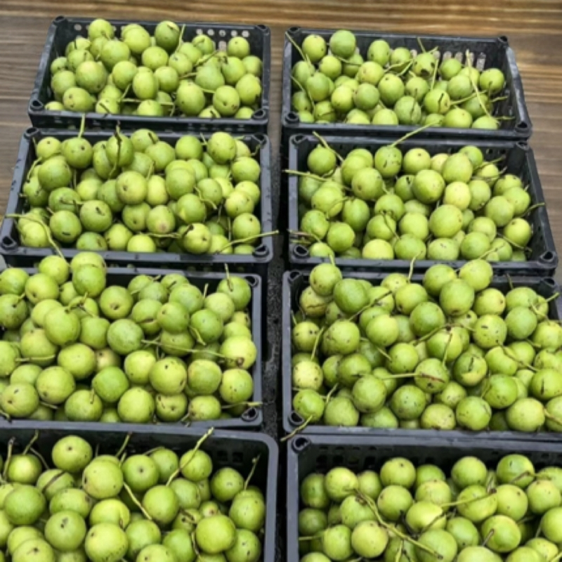 (三棱)文玩核桃青皮 定制不退不换