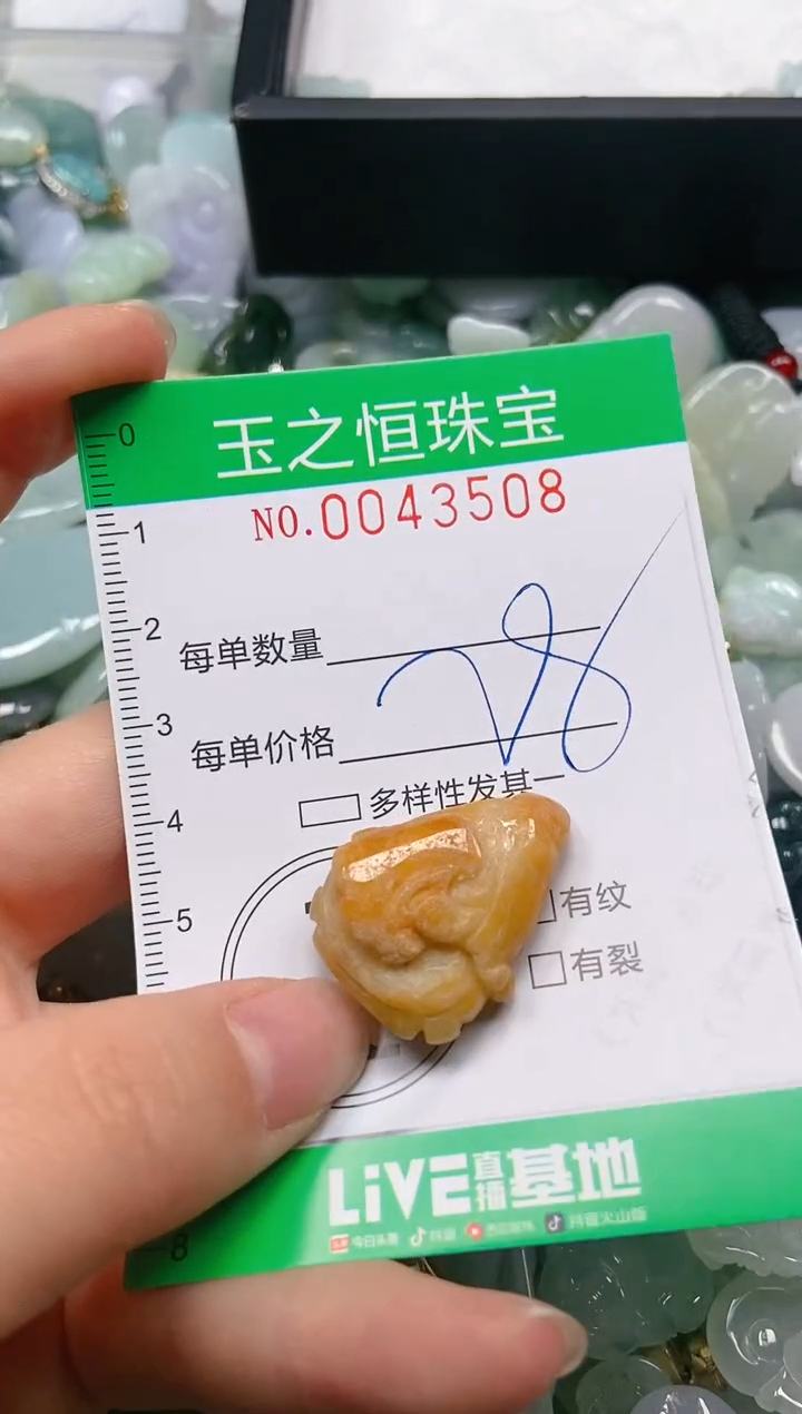 【闪购商品】翡翠颈饰未镶嵌闪购0043508